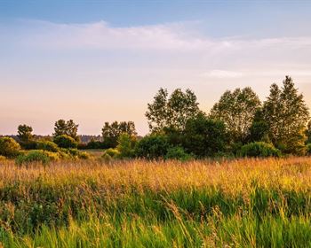 Pulse: When Making Land Improvements, Well Water is First Order of Business