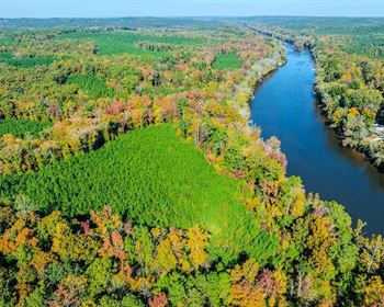 Recreational & Timber Property with Cape Fear River Frontage