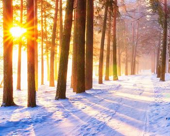 Searching Land Online the Right Way