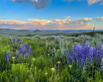 Stunning Colorado Ranch Offers One-Of-A-Kind Hunting Potential