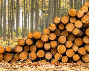 Timberland Ownership and Wood Supply Agreements