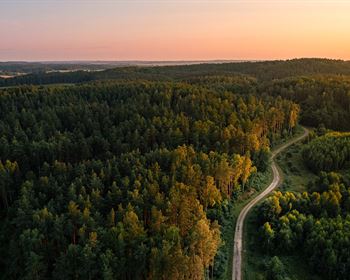 Timberland Transaction Trends: What Can We Learn from 2023?