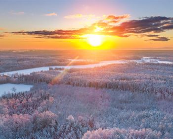 What is Forest Finance?