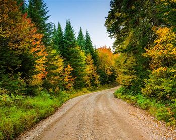 When Selling Land, Solving Problems Can Make You Money