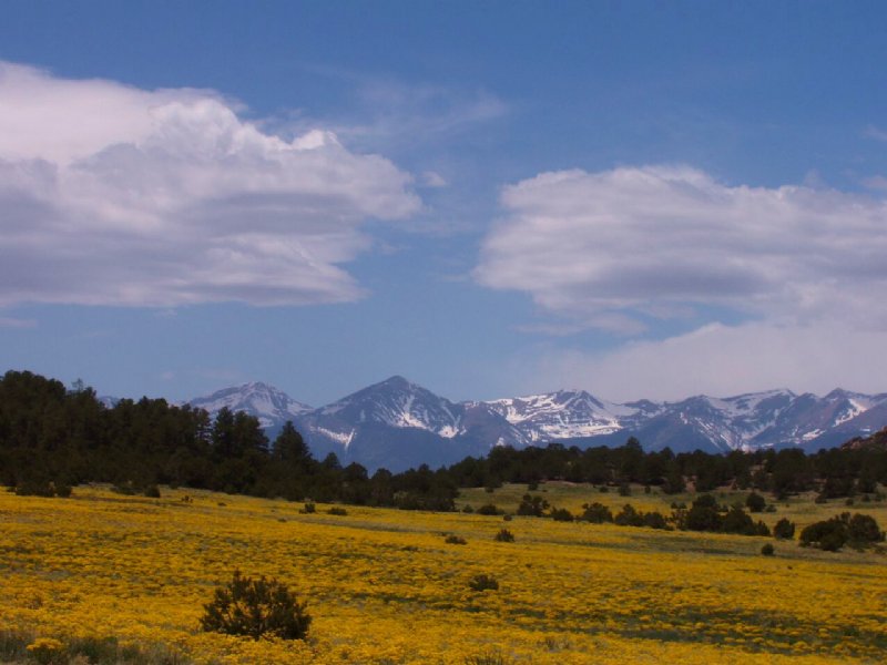 Mountain Paradise in Westcliffe : Westcliffe : Custer County : Colorado