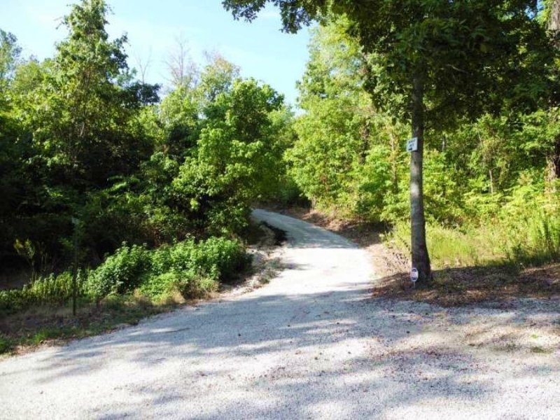Riverview Estates 1st Addition Lots : Mountain View : Stone County : Arkansas