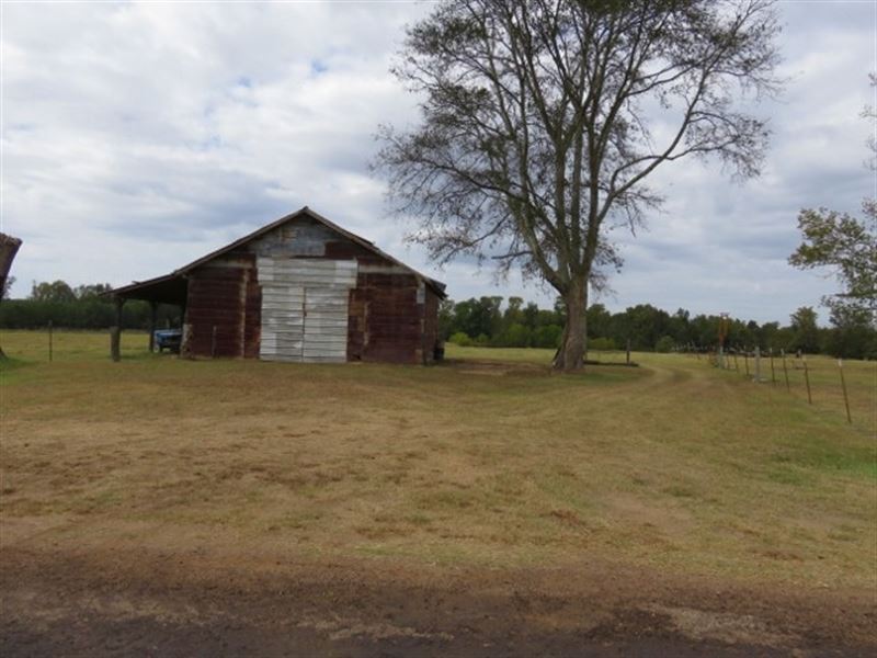 21.5 Ac - Pasture, Pond with Nice : Elysian Fields : Harrison County : Texas
