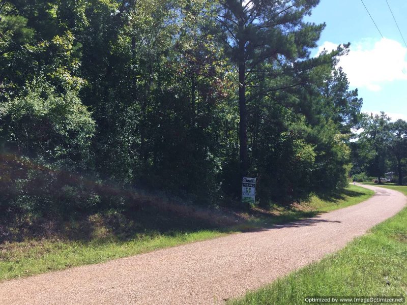 37 Acres Of Great Hunting Land : Georgetown : Copiah County : Mississippi