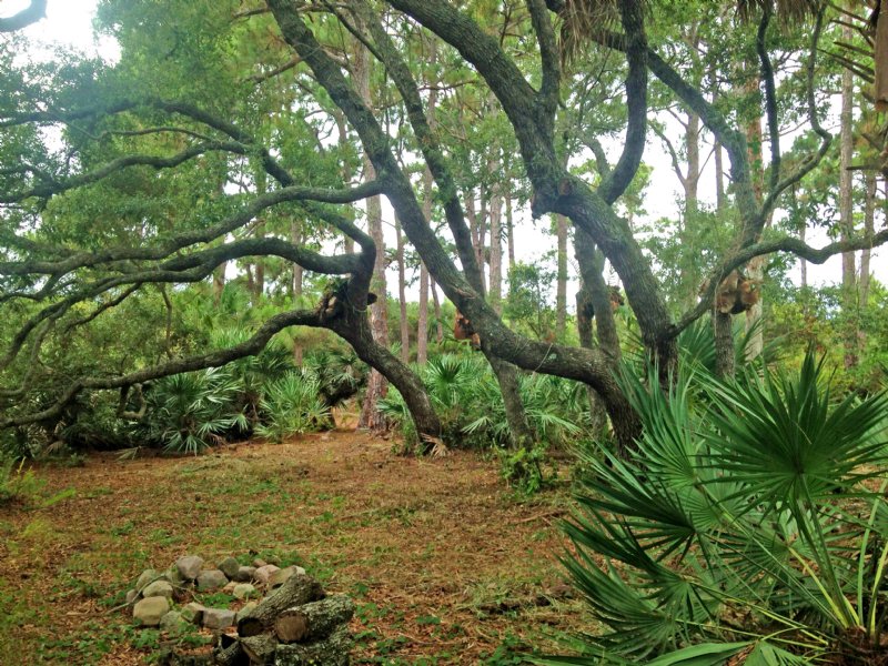 3.7 Ac Estate Parcel : Jensen Beach : Martin County : Florida