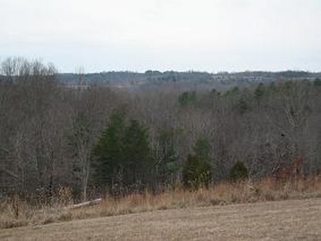 Byrd Tract : Yanceyville : Caswell County : North Carolina