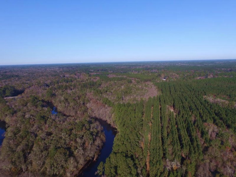 936 Acre Timber Investment Land for Sale in Nahunta, Brantley County