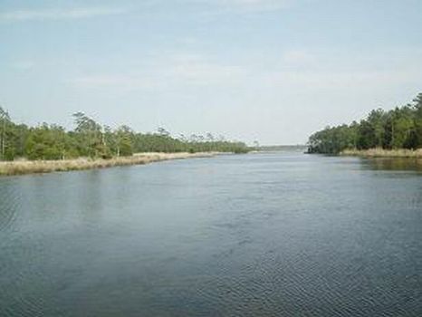 Snodes Creek Tract : Aurora : Pamlico County : North Carolina