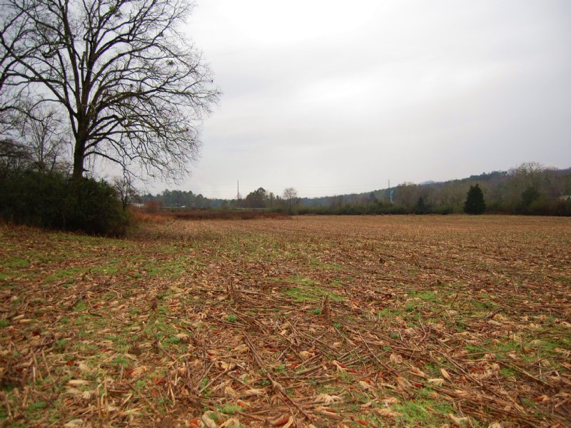 33 Ac. with Great Comm Potential : LaFayette : Walker County : Georgia