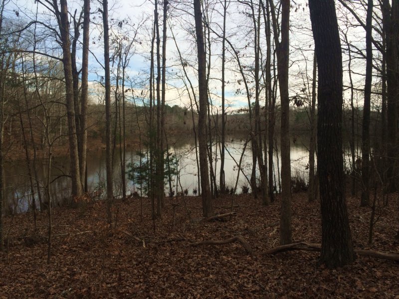 Duncan Creek Church Road Farm Land for Sale in Laurens, Laurens