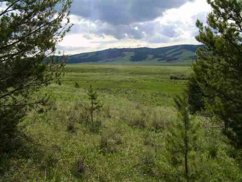 Arrowstone Tract 8 : Philipsburg : Granite County : Montana