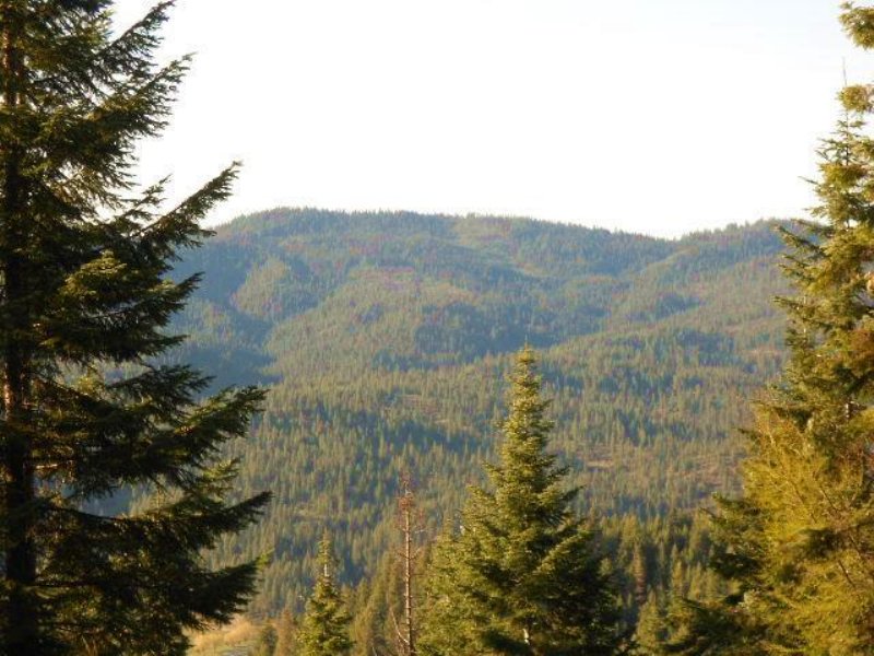 Million Dollar Views : Coeur d'Alene : Kootenai County : Idaho