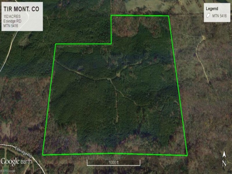 Prime Timberland Hunting Investment : Duck Hill : Montgomery County : Mississippi