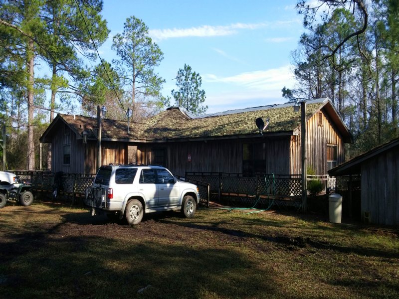 Pine Log 631A, Bf RS : Ebro : Washington County : Florida