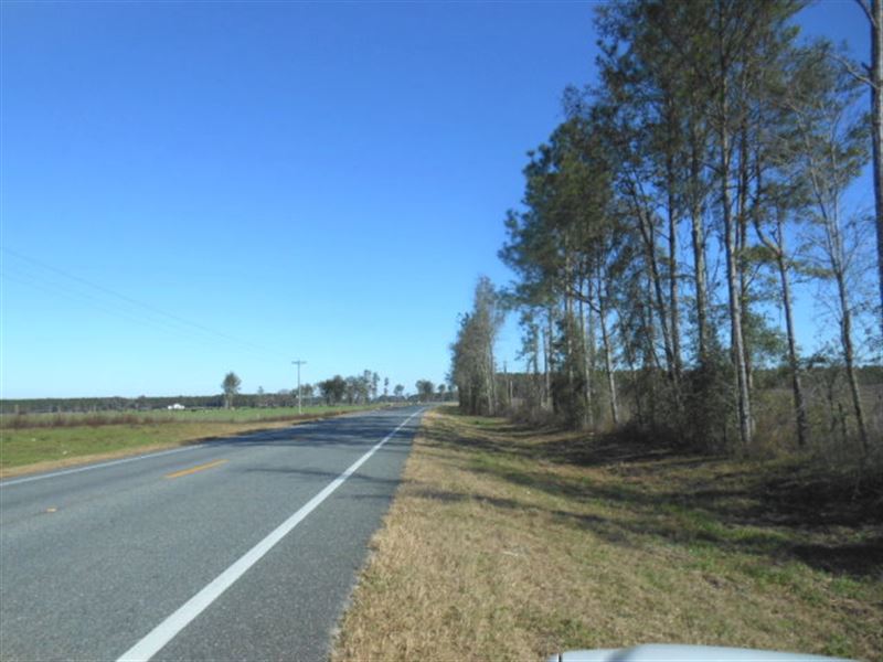 80.01 Acres On Paved Road : Live Oak : Suwannee County : Florida