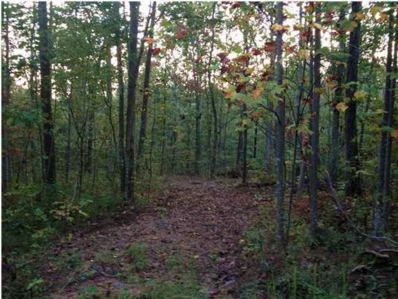 10.58+/- Acres Wooded Lot : South Pittsburg : Marion County : Tennessee