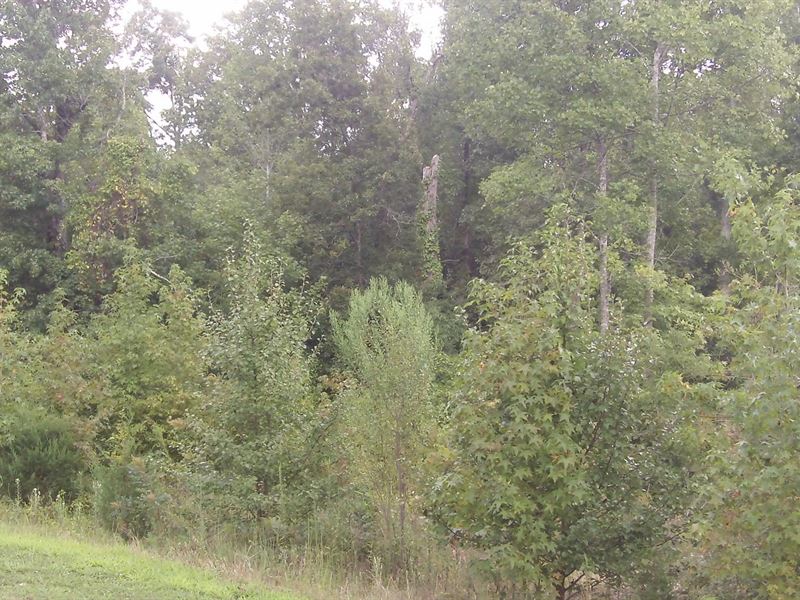 Carriage Farms, 1.98 Acre Lot : Gray Court : Laurens County : South Carolina