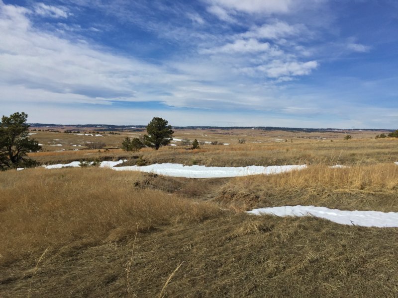 Bijou Basin 80 : Calhan : Elbert County : Colorado