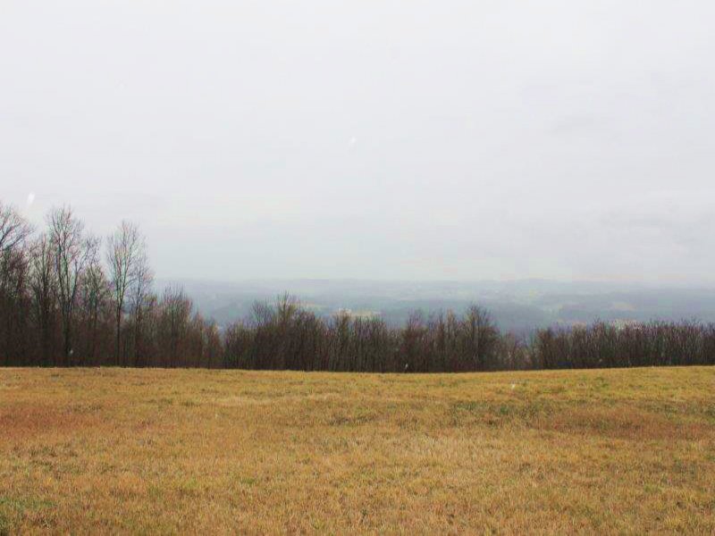 Land in The Mohawk Valley 95 Acres : Minden : Montgomery County : New York