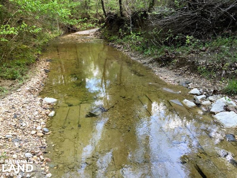 The Sullivan Creek Tract, Tract : Sardis : Lowndes County : Alabama