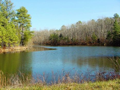 Belfast Plantation - 4664.41 Acres : Newberry : Newberry County : South Carolina