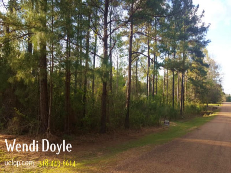 Real Estate for Sale : Forest Hill : Rapides Parish : Louisiana