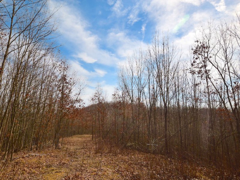 Bear Run Rd - 104 Acres : South Webster : Jackson County : Ohio