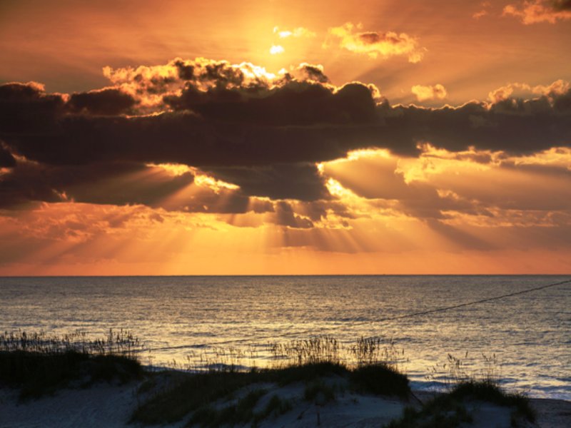 Dock-able Coastal Waterfront Estate : Oriental : Pamlico County : North Carolina