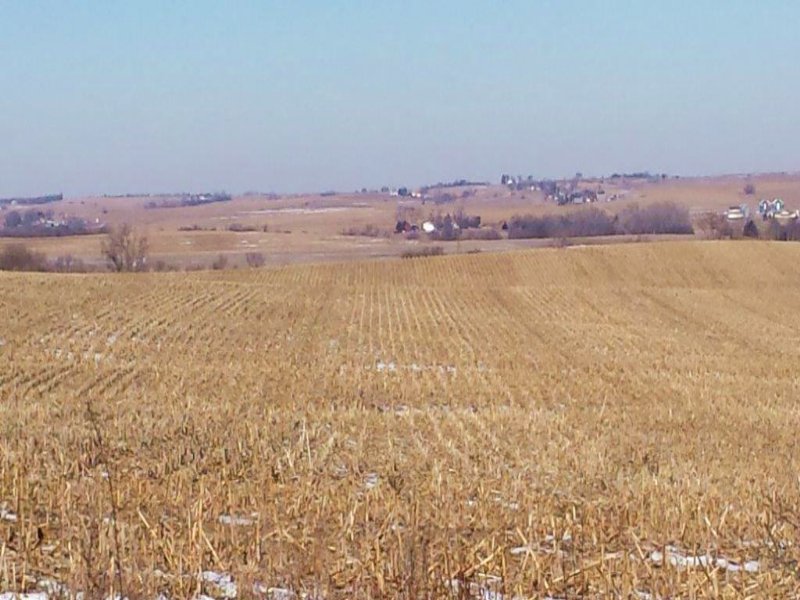 Saunders County Farm : Ceresco : Saunders County : Nebraska