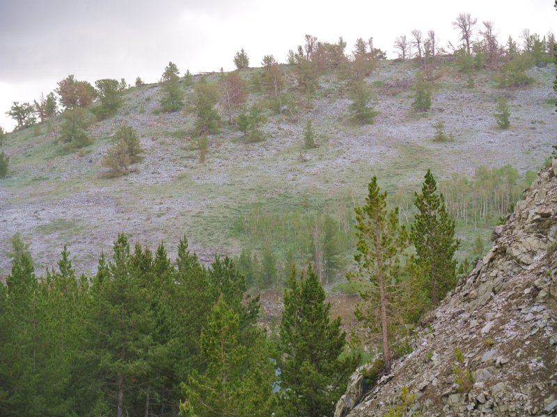 National Forest Out-Lot : Atlantic City : Fremont County : Wyoming