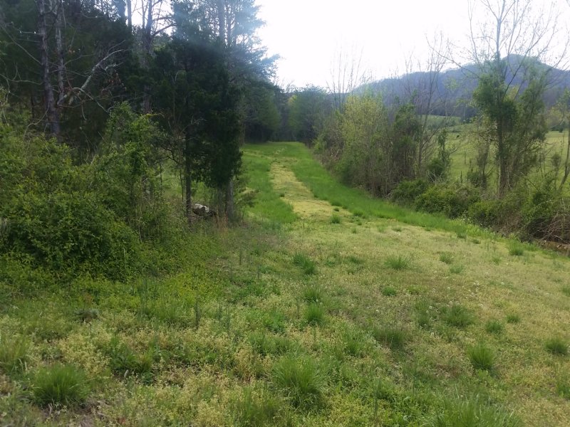 15 Acres with Cleared Site for Home : Greeneville : Greene County : Tennessee