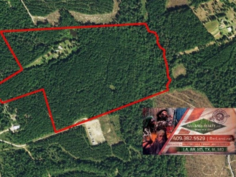 68.8 Ac - Timberland Hunting Tract : Jasper : Jasper County : Texas