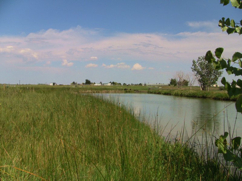 Blue Sky Farms and Development : Windsor : Weld County : Colorado