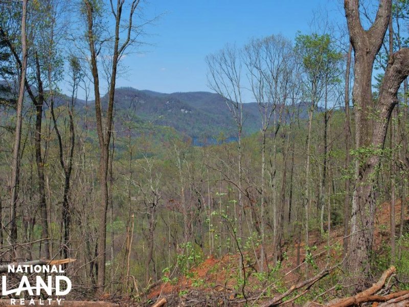 Foothills Homesite with Mountain Vi : Travelers Rest : Greenville County : South Carolina