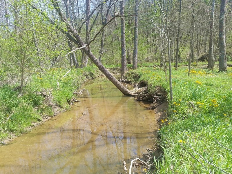 Nice Property Fishable Creek : Logan : Hocking County : Ohio