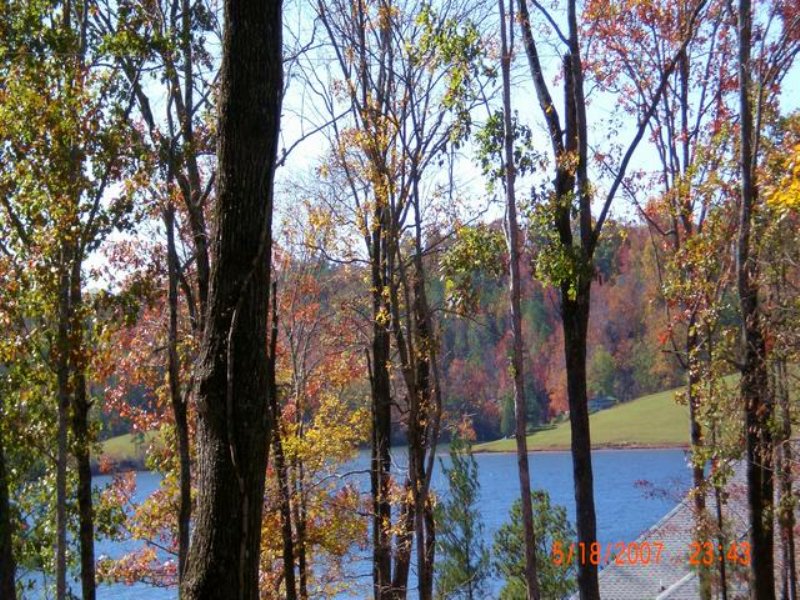 16+/- Ac Waterfront On Yates Lake : Land for Sale in East ...