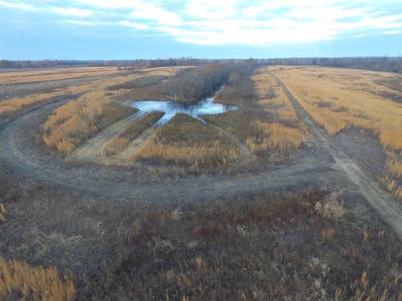 120 Ac Duck and Deer Hunting Land : Dundee : Tunica County : Mississippi