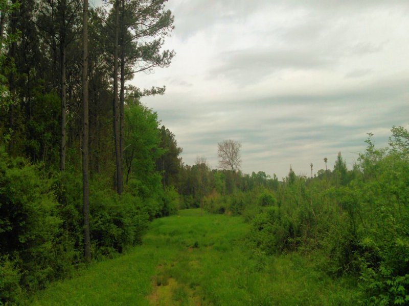 S B Tract 9601 : Plainville : Gordon County : Georgia