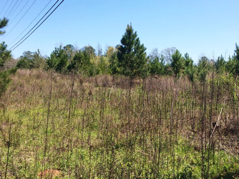 Bonner Road : Carrollton : Carroll County : Georgia