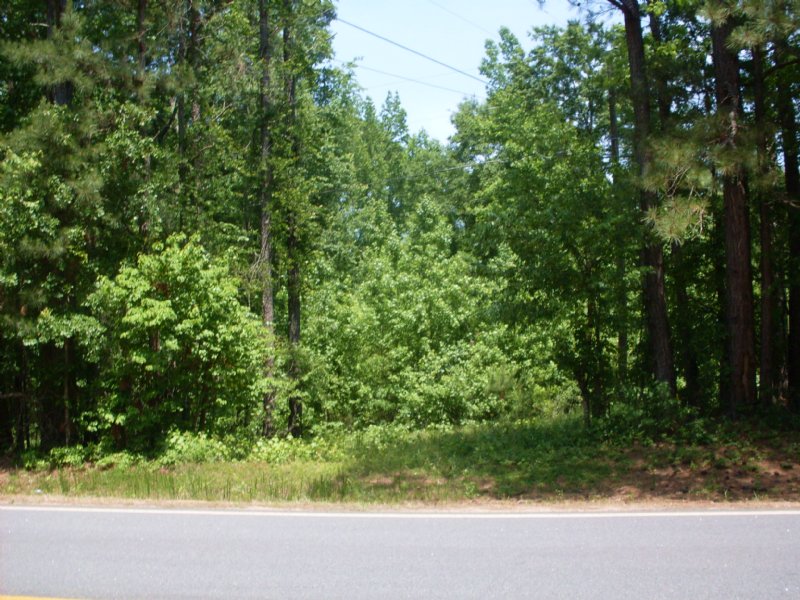 Witcher Road Parcel C : Newnan : Coweta County : Georgia