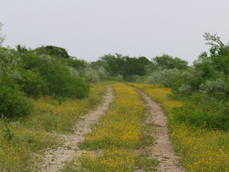 Weekend Get Away, Hunting : Brackettville : Kinney County : Texas