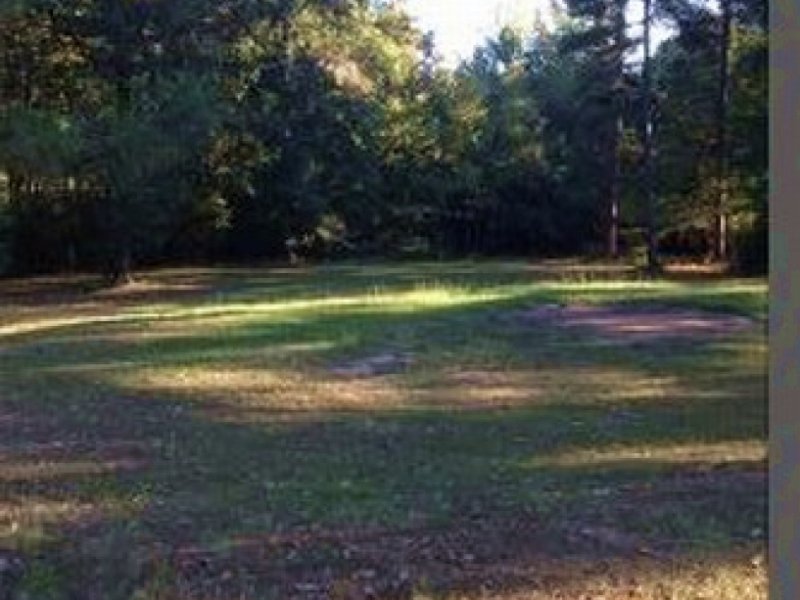 3 Acres with Home in Montgomery Cou : Winona : Montgomery County : Mississippi