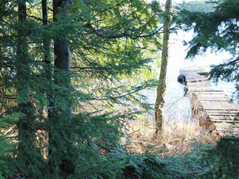 Us-41 & Ruth Lake, Mls 1094547 : Covington : Baraga County : Michigan