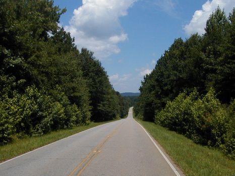Piedmont Farm | 1012 Acres : Barnesville : Lamar County : Georgia