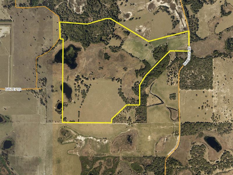 Residential Development Land : Groveland : Lake County : Florida