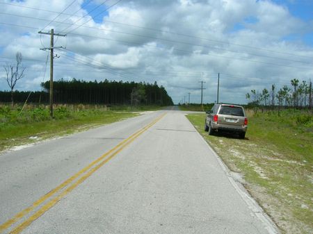 14.28 Acres-lot 8-meng Dairy Farms : Starke : Bradford County : Florida